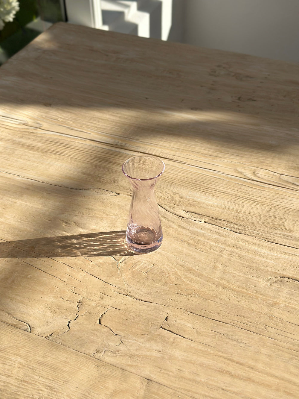 krokusglas-rosa-pink