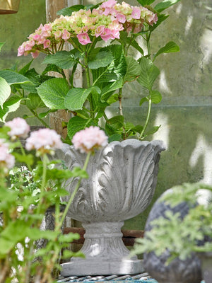 udeliv-potte-krukke-bgreen-blomster-planter