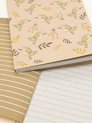 Evelyn notebook