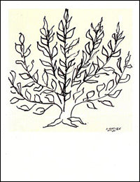 Henri-Matisse-Le-Buisson-Galerie-Maeght
